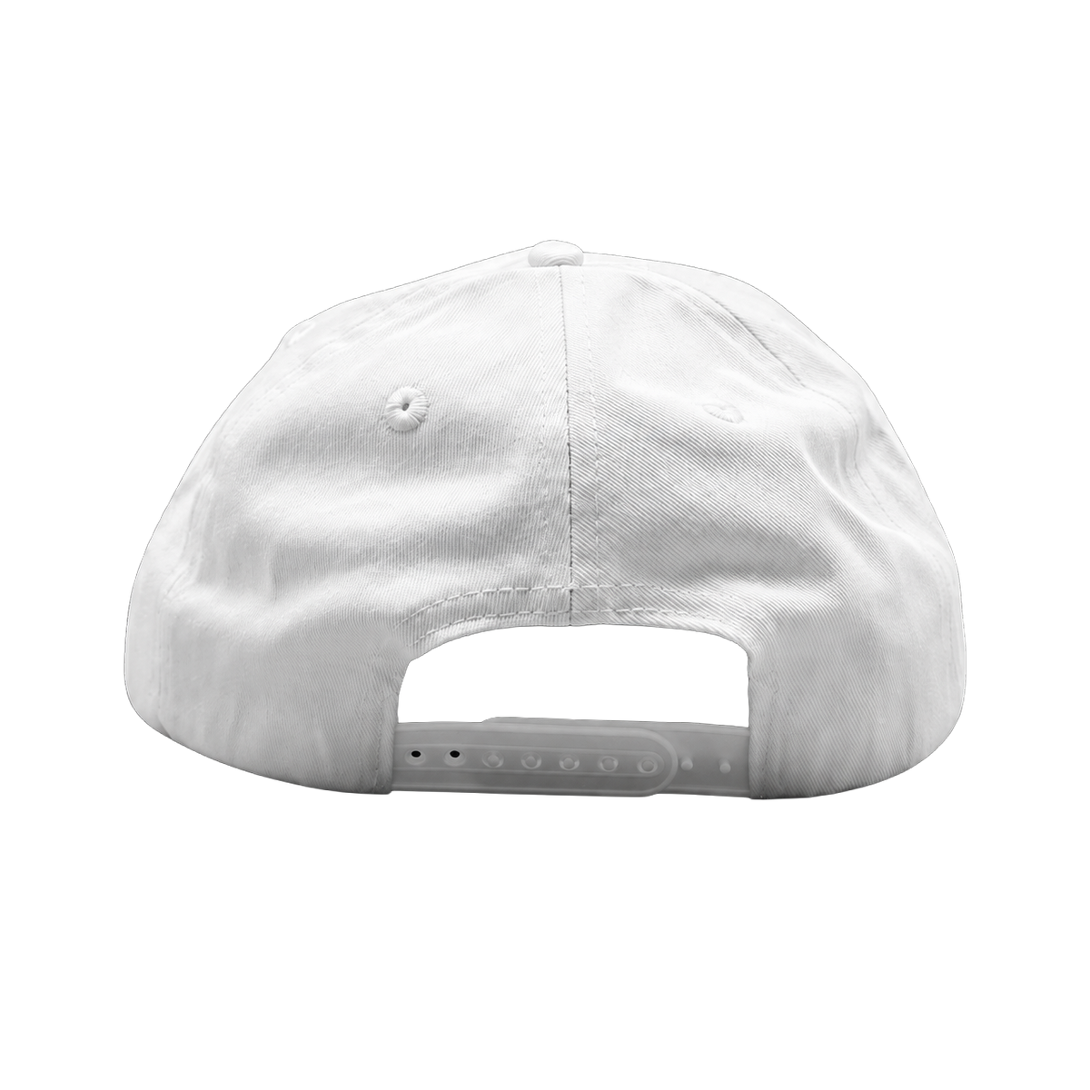 POLITICALLY INCORRECT HAT