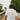 Text Me When You Dock Tee